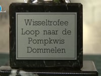 Kwis Dommelse dorpspomp