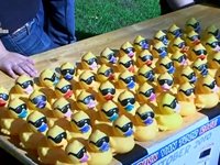 Duckrace