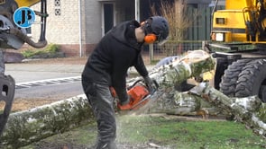 Bewoners zijn blij met gekapte bomen