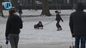 Schaatsen op het Wilhelminapark