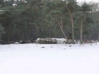 Zoeken naar brand